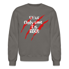 Crewneck Sweatshirt - asphalt gray